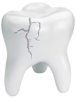 601842d859b02980533848c5 Adobestock 222658057 Removebg Preview (1)